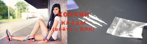 гидра Вязники