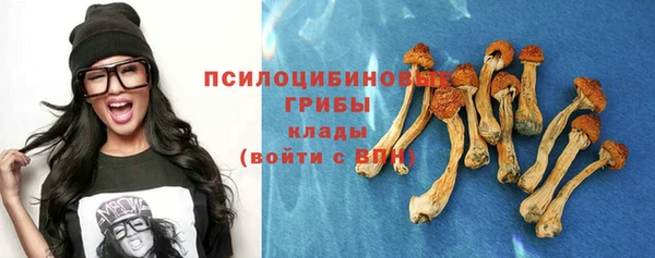 гидра Вязники