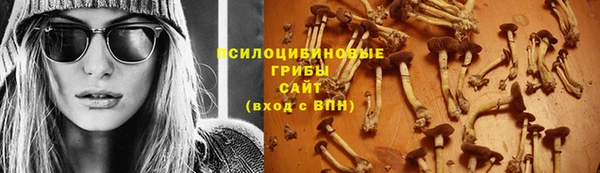 гидра Вязники