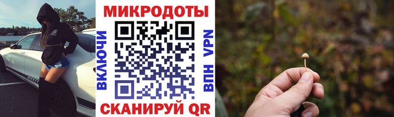 мега ONION  хочу наркоту  Ревда  Псилоцибиновые грибы Magic Shrooms 